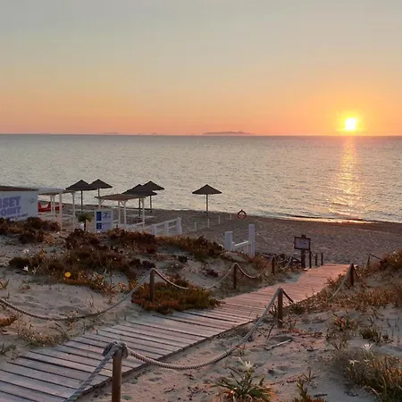 Ferienhaus Dimora Mimosa - Baia Delle Mimose